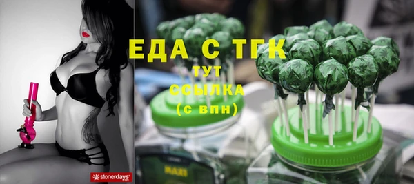 тгк Медногорск